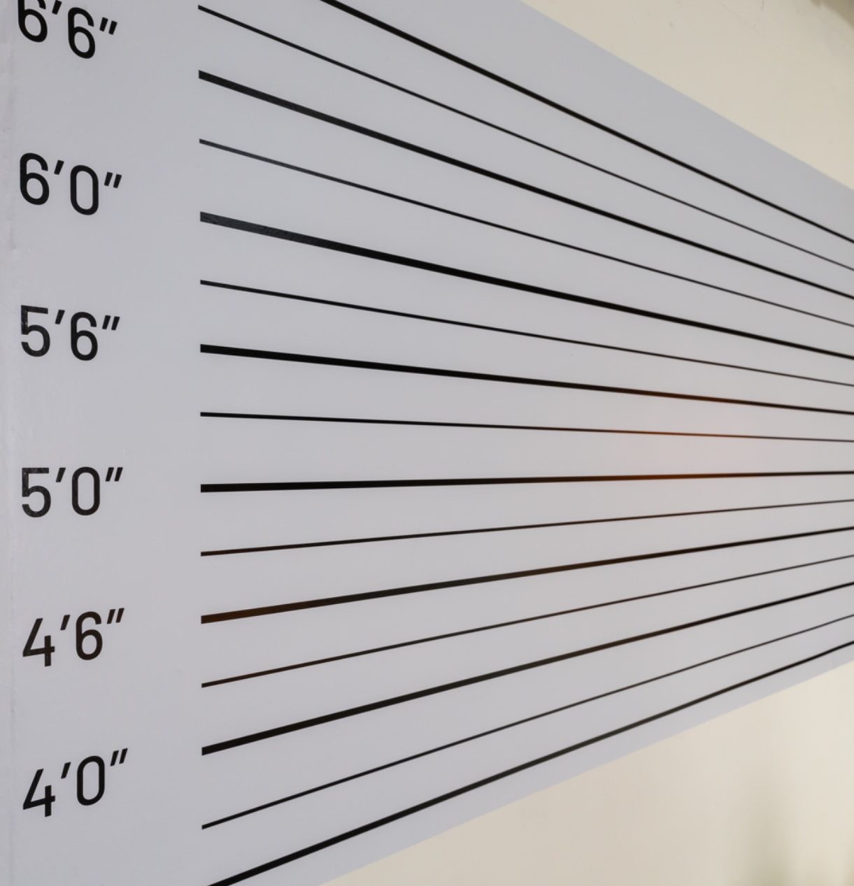 sfondo fotografico per foto segnaletiche Alessandria